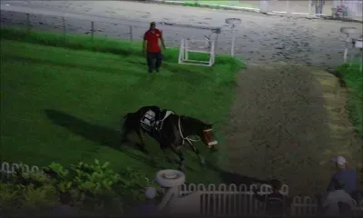 Alyaasaat impressionnant lors de son 'barrier trial'!