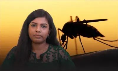 Epidémie de dengue: la vigilance reste de mise