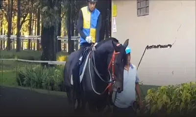 Warm Up: À suivre les chevaux avec un galop dans les jambes.