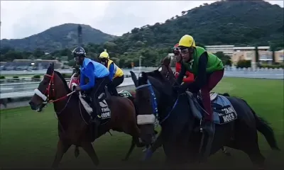 Bonjour Champ-De-Mars : Play Another Tune tout en puissance