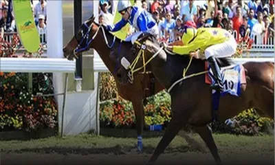 Bonjour Champ-de-Mars : les repérés de mardi