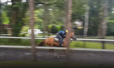 Warm Up : Amritsar a énormément progressé sur sa course de rentrée