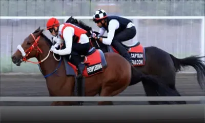 Bonjour Champ-de-Mars: Perplexing sublime