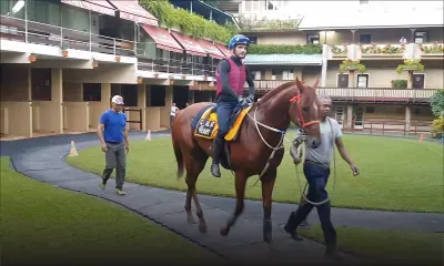 J-1: Cool At Heart fait l'unanimité