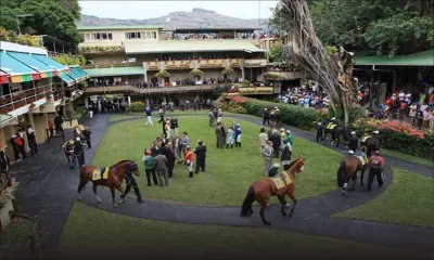 Bonjour Champ-de-Mars : White River splendide