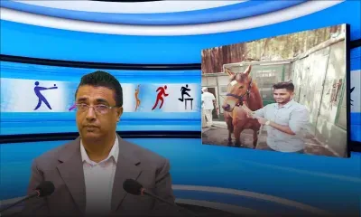 Tiyo lekours 28ème journée