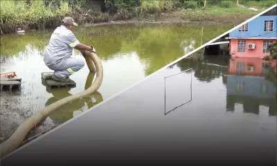 Elle rentre chez elle après avoir vécu trois mois dans un centre de refuge