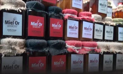 Salon de la Famille et de la Santé : Détours du côté du stand Miel d'or