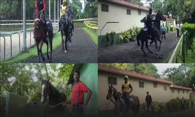 Ouverture de l'entraînement 2019