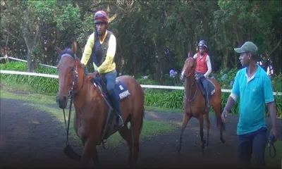 Nebula et White River attirent les regards...