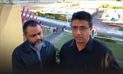 Bonjour champ de mars -Black Cat Back rayonnant de santé