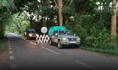 SMF : 100 soldats passent 36 heures dans la forêt de Bras-d'Eau