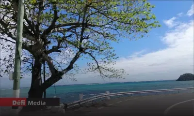 Météo : les prévisions pour ce samedi 