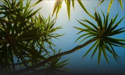 Météo : les prévisions pour ce dimanche