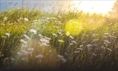 Prévisions météo pour ce dimanche 