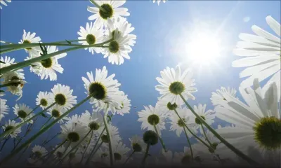 Météo : les prévisions pour ce mardi