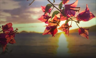 Météo : les prévisions pour ce lundi