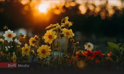 Météo : les prévisions pour ce dimanche