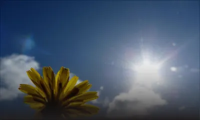 Météo : les prévisions pour ce vendredi