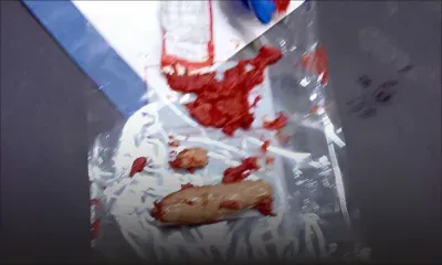 En provenance de la Grande-Bretagne : Rs 1,1 million de drogue découverte dans de la purée de tomate 