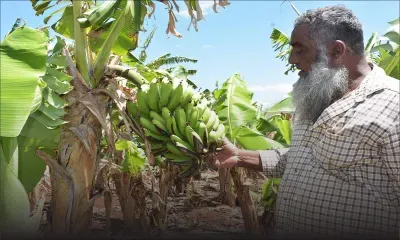 PLANTEUR: la clé de la réussite c'est d'être autosuffisant