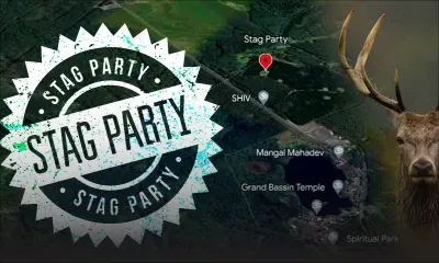 Stag Party : mieux comprendre toute l'affaire