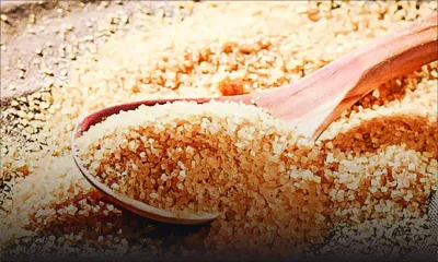 Sucres spéciaux : les exportations en baisse par manque de conteneurs