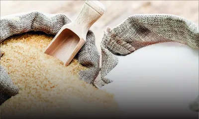 Le syndicat des sucres souhaite fournir la totalité de sucre dont le marché local a besoin  