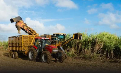 Campagne sucrière 2021 : vitesse optimale pour la production 