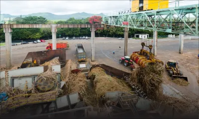 Campagne 2021 : production sucrière de 33 677 tonnes au 31 juillet