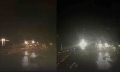 Fortes pluies et chutes d’arbres dans le sud de l’île, la SMF et les pompiers mobilisés 