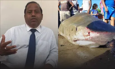 La présence de requins à Grand-Gaube inquiète le député Sudesh Rughoobur