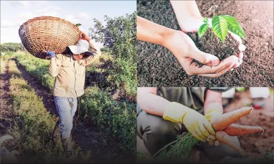 Au Cœur de l’Info : l’autosuffisance alimentaire au centre des débats 