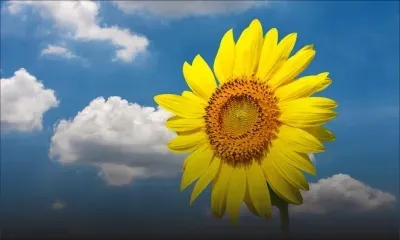 Prévisions météo du 13 novembre