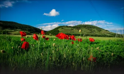 Prévisions météo du 13 octobre