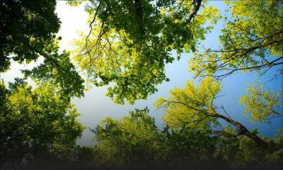 Météo : les prévisions pour ce mercredi