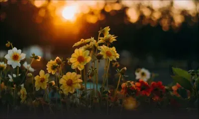 Météo : une amélioration du temps attendue ce lundi