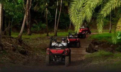 Réserve Naturelle de Bel-Ombre : le Sunset Safari, une nouvelle activité