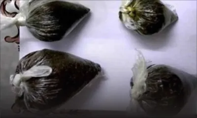 Il innocente son jeune frère pour possession de drogue synthétique