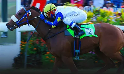 Hippisme – L’entraîneur Shirish Narang somme la MTCSL d’arrêter l’enquête ‘El Patron’