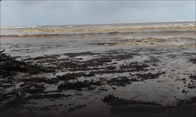 Belal défigure la plage de Tamarin