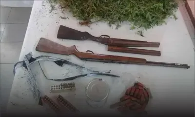 260 plants de gandia et deux carabines saisis à Tamarind Falls