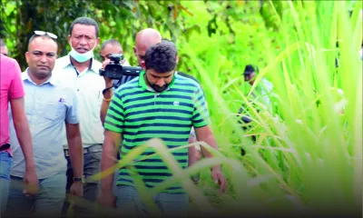 Meurtre de Sanjana Khoodeeram à St-Julien : Tayrish Buldy retourne sur la scène de crime