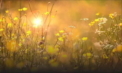 Météo : la température maximale supérieure à la moyenne de 2 à 3 degrés