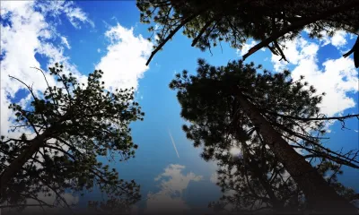 Prévisions météo du 24 août 