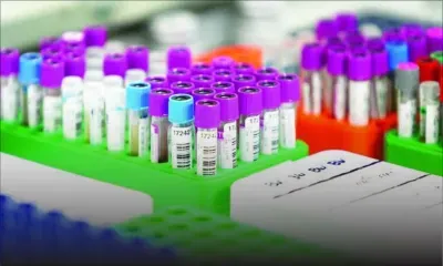  Fille ou garçon? Hong Kong au coeur d'un trafic de sang de Chinoises enceintes