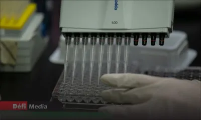 Covid-19 : 7 077 tests effectués au 11 avril, 319 cas positifs