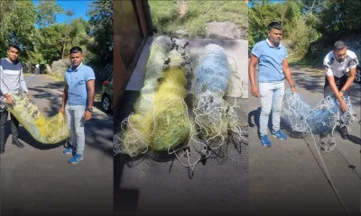 Une habitante de Grand-Gaube arrêtée pour vente illégale de sennes 