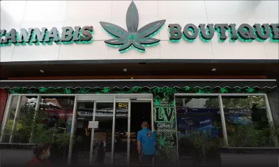 Saisie de Rs 254,5 M de drogue à Plaisance - La Thaïlande : la nouvelle route de l’or vert