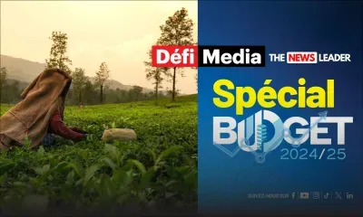Budget 2024-25 : Hausse de 80% de la Winter Allowance pour les cultivateurs de thé